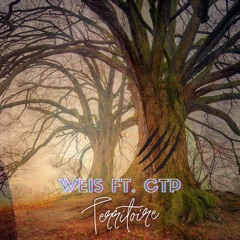 Weis - Territoire Ft. CTP (Prod. by Rysem)