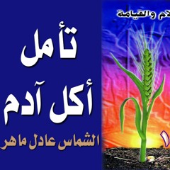 أكل أدم من الشجرة فمات - الشماس عادل ماهر - حبة حنطة 1