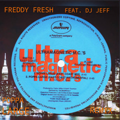 Freddy Fresh ft. DJ Jeff - Poppa Large (remix)
