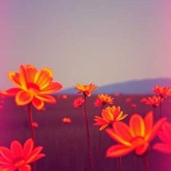 Fleur Hexagone