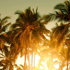 Avicii - The Nights (Mau Kilauea's Tropical Remix)