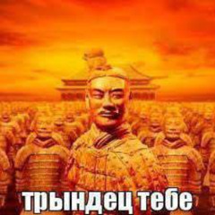 воронины в китае (沃罗宁在中国)