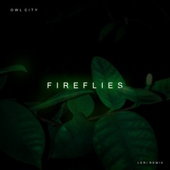Owl City - Fireflies (Leri Remix)