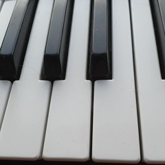 Marco Lucchi - One hand Piano in duo w  Michael's left hand