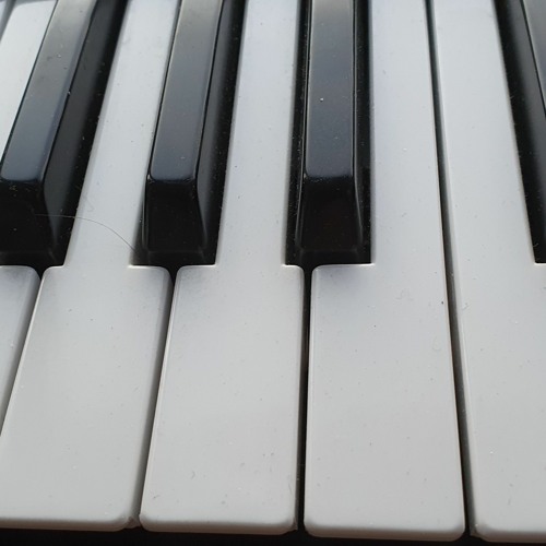 Marco Lucchi - One hand Piano in duo w  Michael's left hand