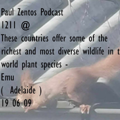 Paul Zentos Podcast 1211 @ These countries offer some of the richest and most diverse wildlife in the world plant species - Emu (  Adelaide ) 19 06 25