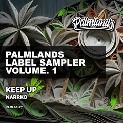 NARRKO - KEEP UP (Extended Mix) [Palmlands Records]