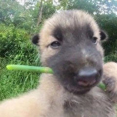 Anh em đã đến đây rồi