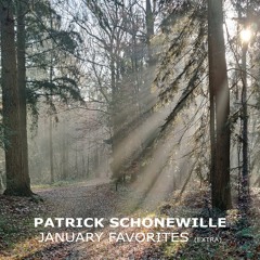 Patrick Schonewille - January favorites (Extra)