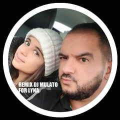 REMIX DJ MULATO FOR LYNA Plansequence