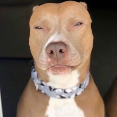 Redbone