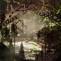OLD WOODS (PROD. KRXXK)