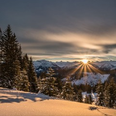 Face - Юморист (Hoodtrap Remix).mp3