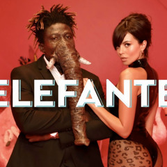 ELEFANTE-NK