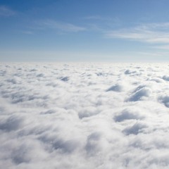 Maxwell - In Flight