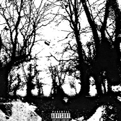 WASTELAND! (W/ ODOSE) {Prod. BigMuscleBeats}