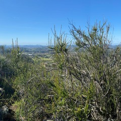 True Love by Phil Wickham