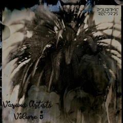 Premiere: Dimola - Summer Shuffle [PLRM048]