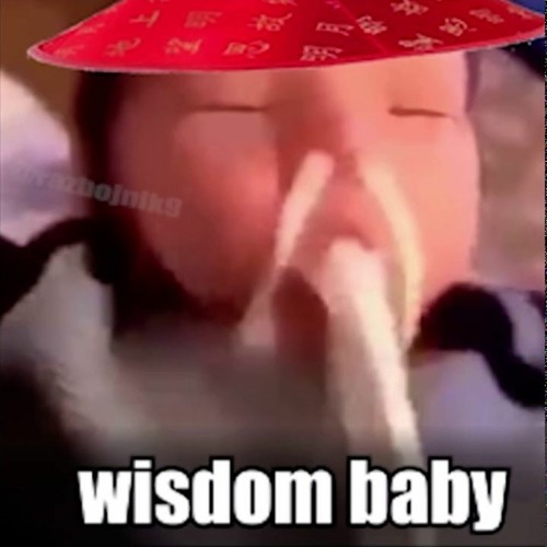 Baby of Wisdom 知恵の赤ちゃん (chinese rap remix)