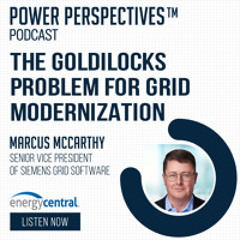 The Goldilocks problem for grid modernization