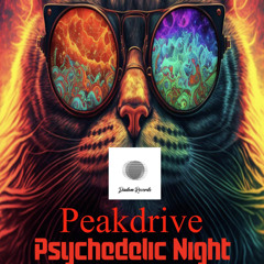 Peakdrive - Psychedelic Night (Original Mix)