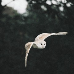 Observer // Future Garage Mix