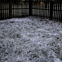 dltzk - cartridge​