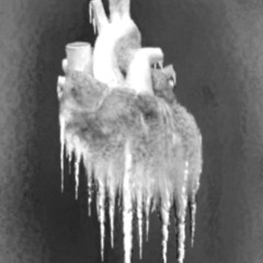 HEARTCOLD (PROD. GROUPHUG)