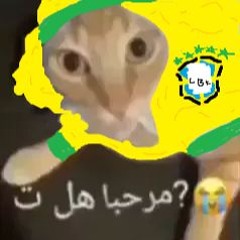 UAU FUNK | DJ KAI SOTTO, DJ GYROTTA ZAO (Ritmo de Cuiaba) - MC LeBron Jota e MC Infidel