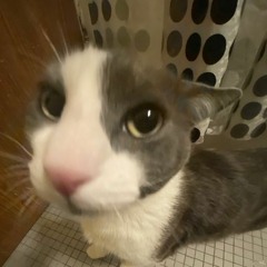 LACKIN#//**** (prod. narcix)