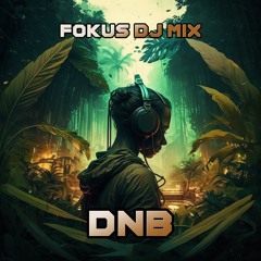 FOKUS DJ MIX - DNB vol 2