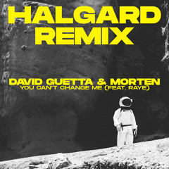 David Guetta & Morten (feat. Raye) - You Can't Change Me (HALGARD REMIX)