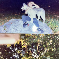 THE FOREST 1994