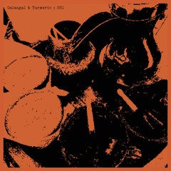 Galangal And Turmeric - Mixtape 001