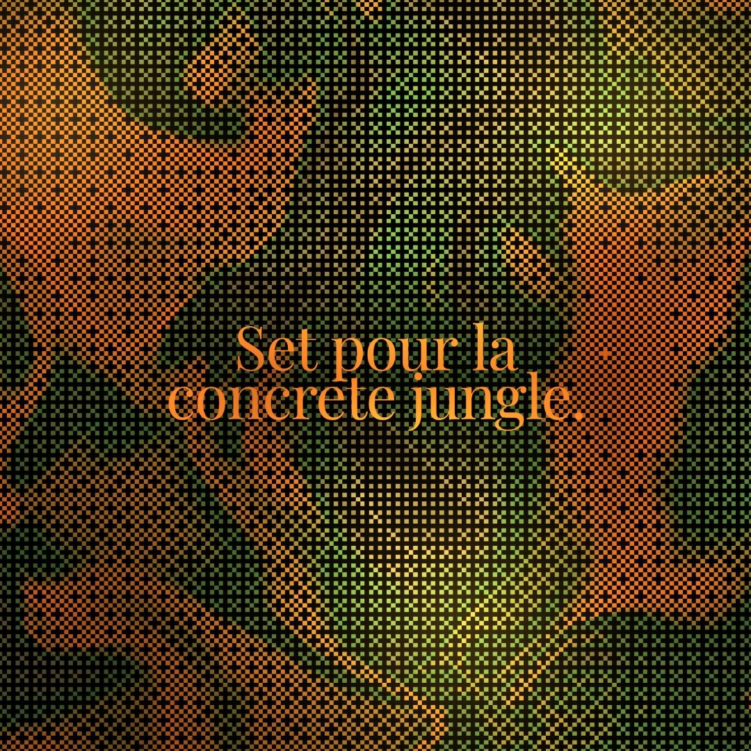 Stream Set pour la concrete jungle. by MODN. | Listen online for