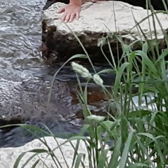 think about your troubles- harry nilsson