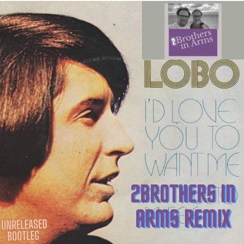 Stream Lobo - I´d love you to want me - 2Brothers in Arms Remix by