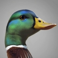 MALLARD VIP (CLIP)