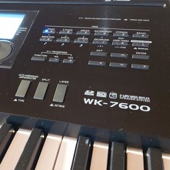 Casio WK 7600 002 Synth Pop 1