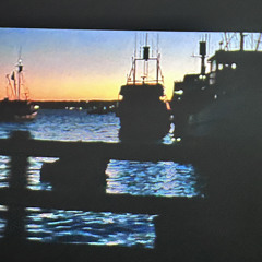 スマトラ警備隊 / 相対性理論