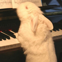 Enero2k25Samples @aquadedeus