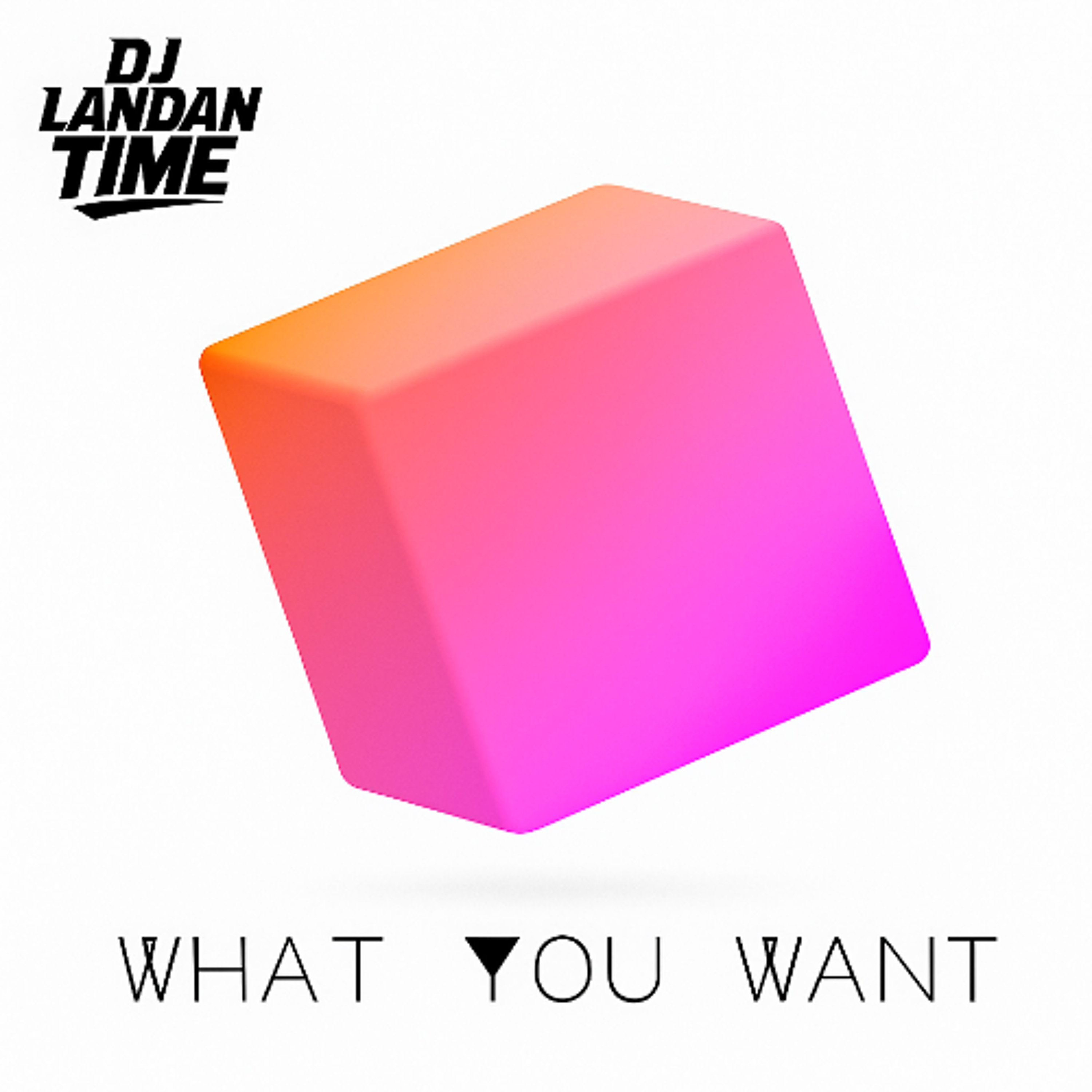 DJ Landan Time - What You Want (radio clean mix)