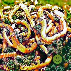 ACID WORMS