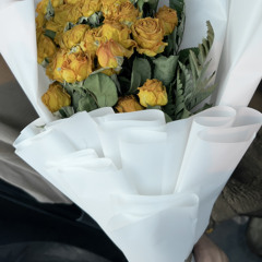 تعمدت ادفن الذكرى