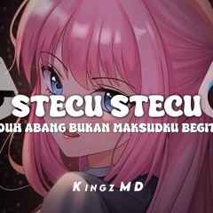 DJ STECU STECU | ADUH ABANG BUKAN MAKSUDKU BEGITU VIRAL TIKTOK TERBARU 2025