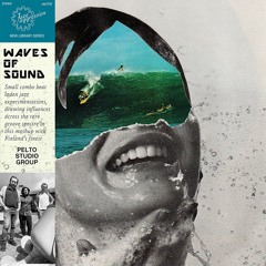 PELTO STUDIO GROUP Waves of Sound LP Snippets