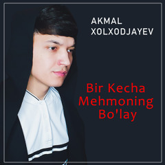 Падал падал белый снег