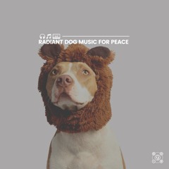 Ultimate Chill Music for Your Dog, Pt. 45