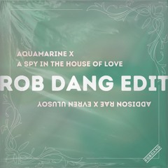 Aquamarine x House of Love (Rob Dang Edit)
