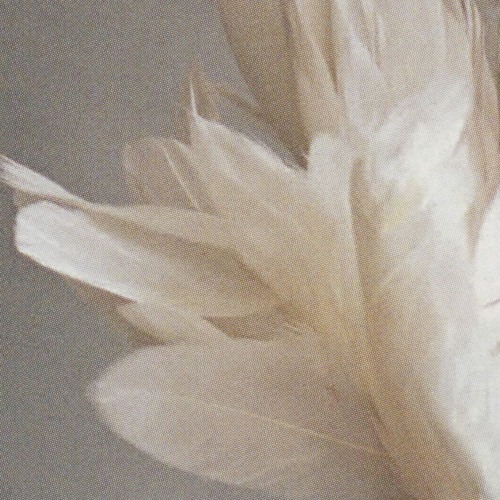 Playlist 66, June 2020